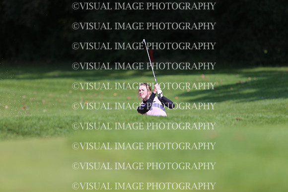 WIGFG_19_2029