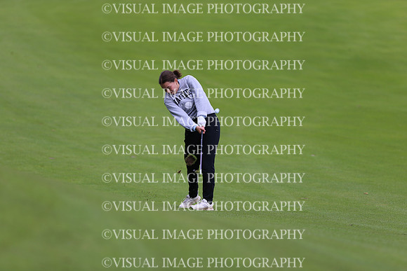 WIGFG_19_2041
