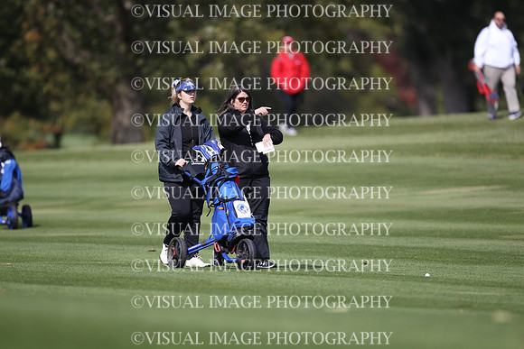 ILGFG_19_IND10013