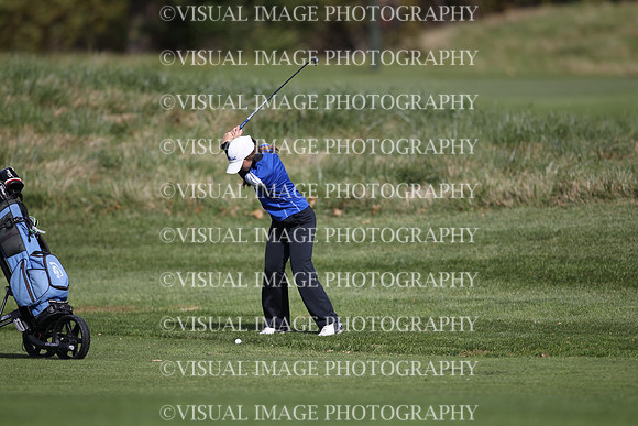 ILGFG_19_IND10024