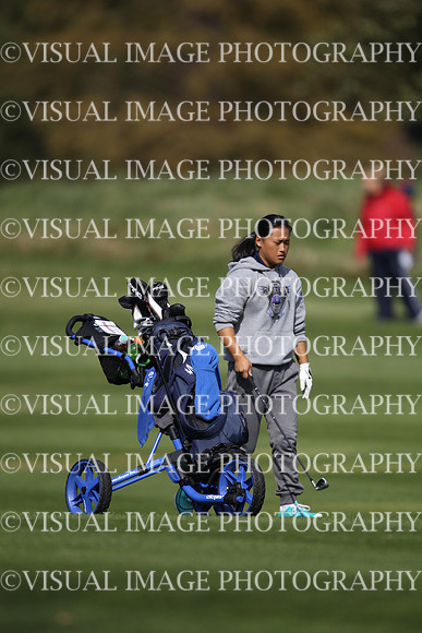 ILGFG_19_IND10031
