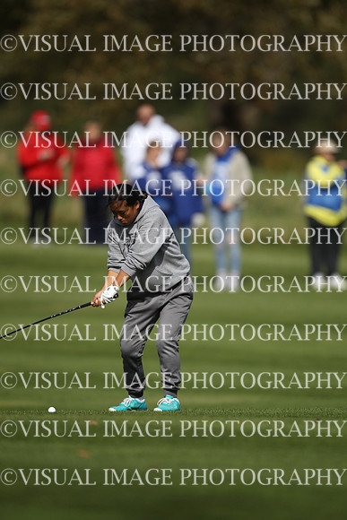 ILGFG_19_IND10036