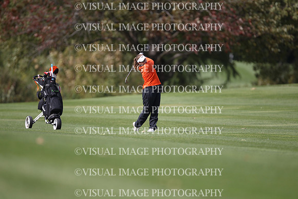ILGFG_19_T107036