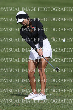 ILGFG_19_IND20008