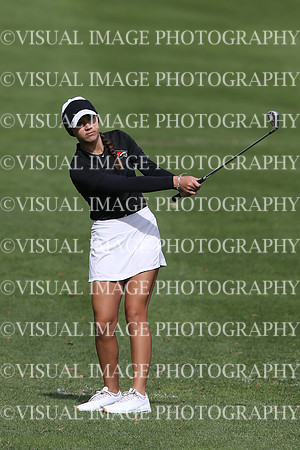 ILGFG_19_IND20010