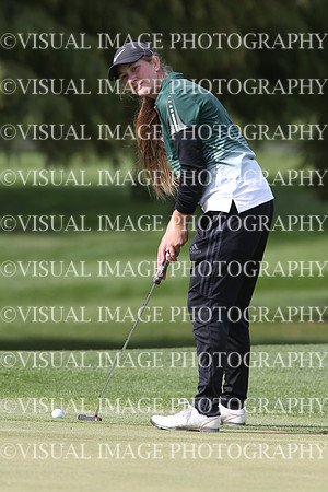 ILGFG_19_IND20012