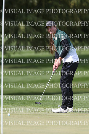 ILGFG_19_IND20016