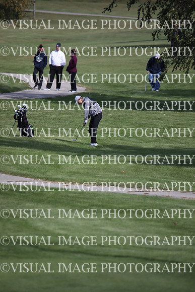 ILGF_19_IND10005