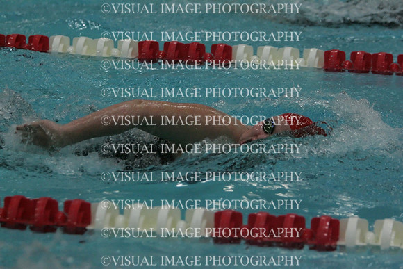 wiswg09_5free_2007