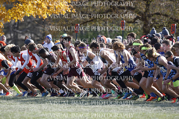 ILXC_19_10029