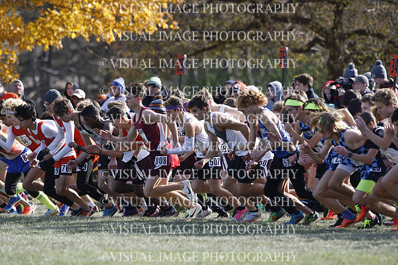 ILXC_19_10030