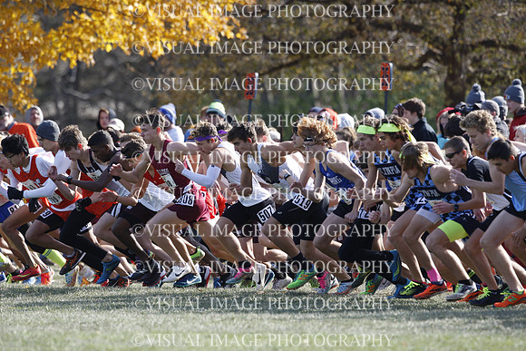 ILXC_19_10031