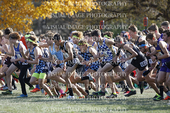 ILXC_19_10033