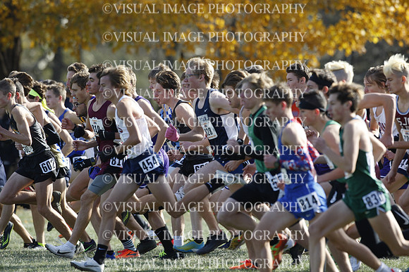 ILXC_19_10035