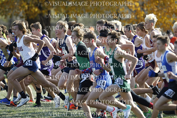 ILXC_19_10037