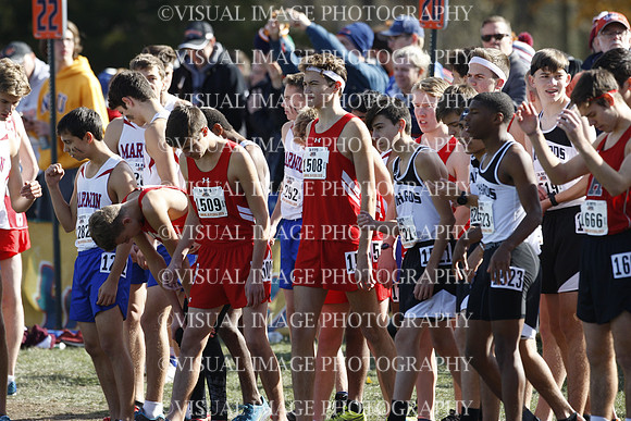 ILXC_19_20028