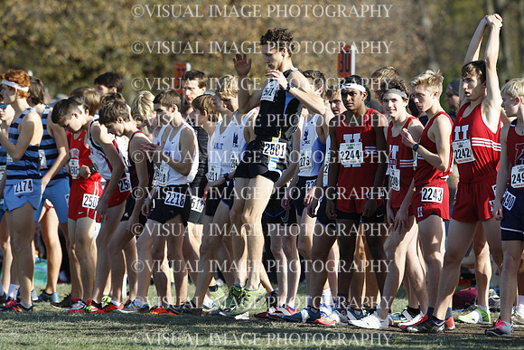 ILXC_19_30029