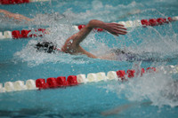 wisw10_2free_2005