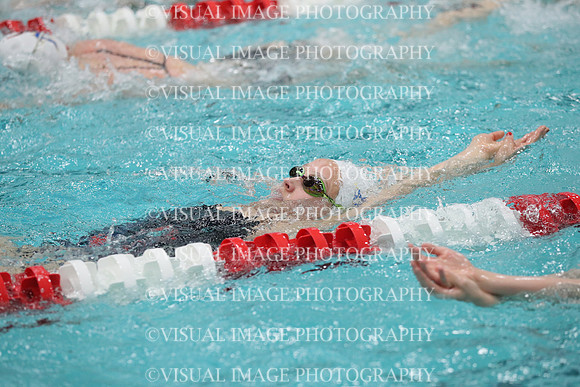 WISWG_19_S10008