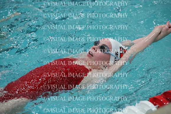 WISWG_19_S10013