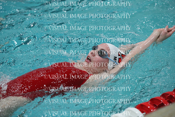 WISWG_19_S10014