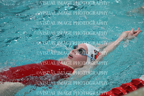 WISWG_19_S10015