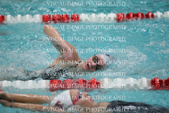 WISWG_19_S10019