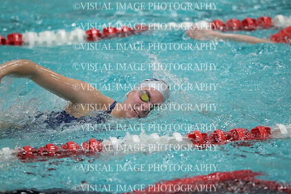 WISWG_19_S10021