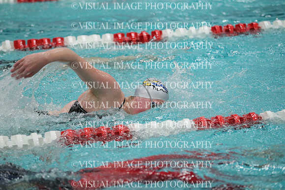 WISWG_19_S10023