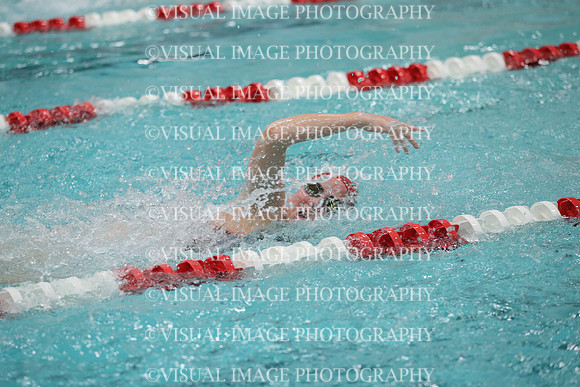 WISWG_19_S10027