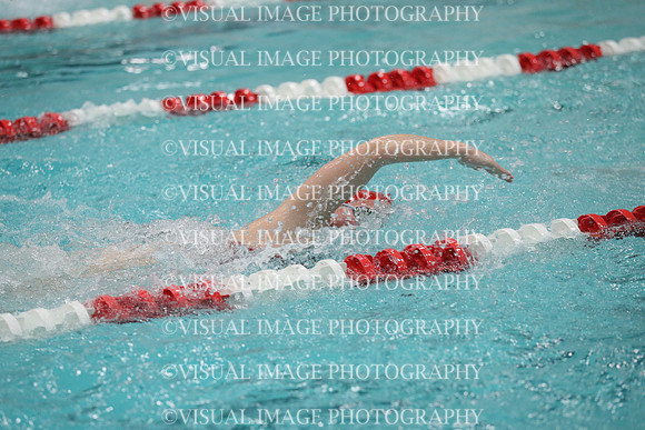 WISWG_19_S10028