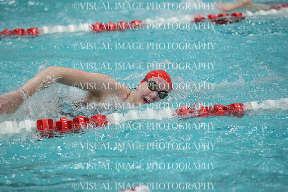 WISWG_19_S10029