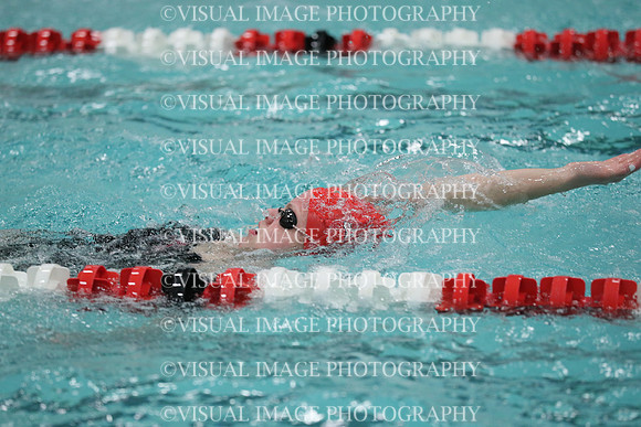 WISWG_19_S10031