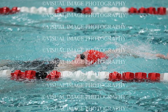 WISWG_19_S10032