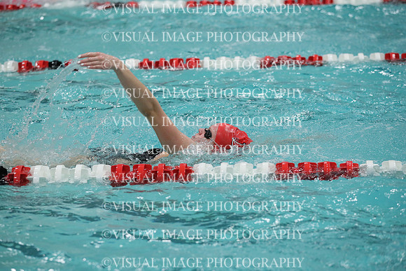 WISWG_19_S10033