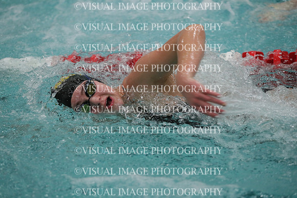 WISWG_19_S20004