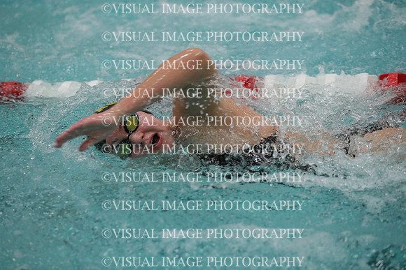 WISWG_19_S20005