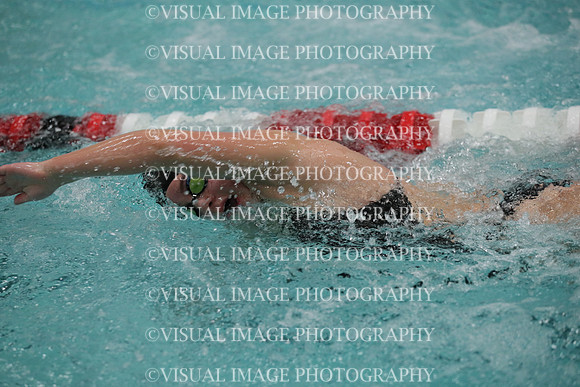 WISWG_19_S20006