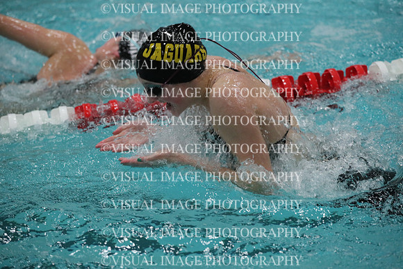WISWG_19_S20007