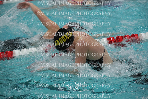 WISWG_19_S20008
