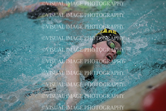 WISWG_19_S20009