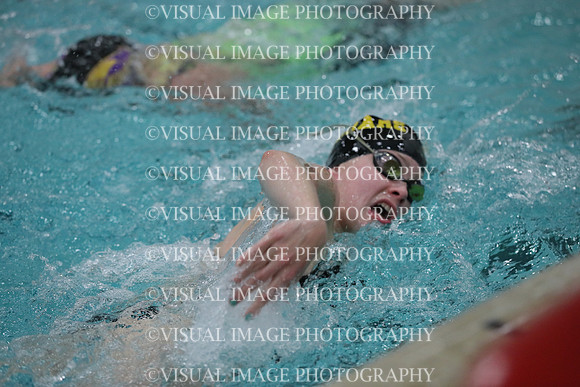 WISWG_19_S20010