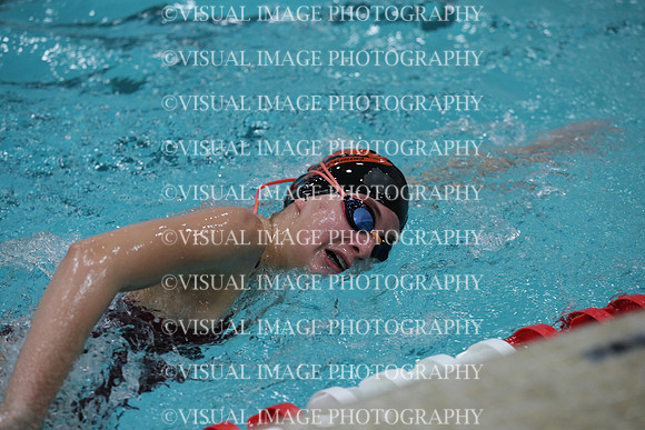 WISWG_19_S20011