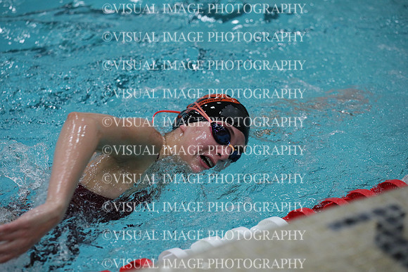 WISWG_19_S20012