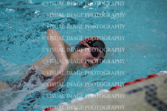 WISWG_19_S20013
