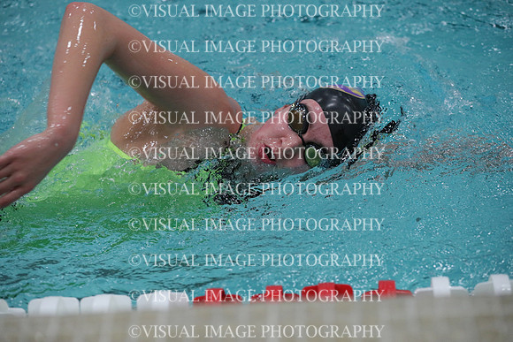 WISWG_19_S20015