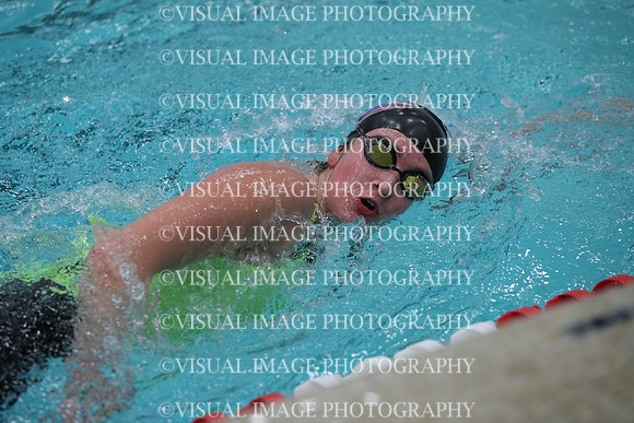 WISWG_19_S20016
