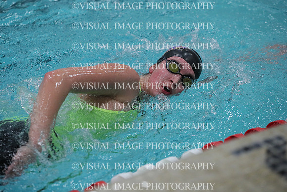 WISWG_19_S20017