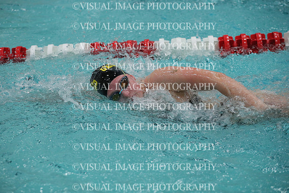 WISWG_19_S20018