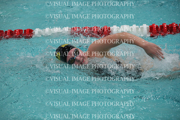 WISWG_19_S20019